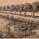 Garden of Casa Forte (City Hall), Recife, 1935, ink and pencil on paper.